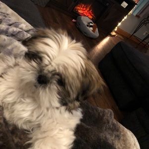 Meet your Posher, Cheryl